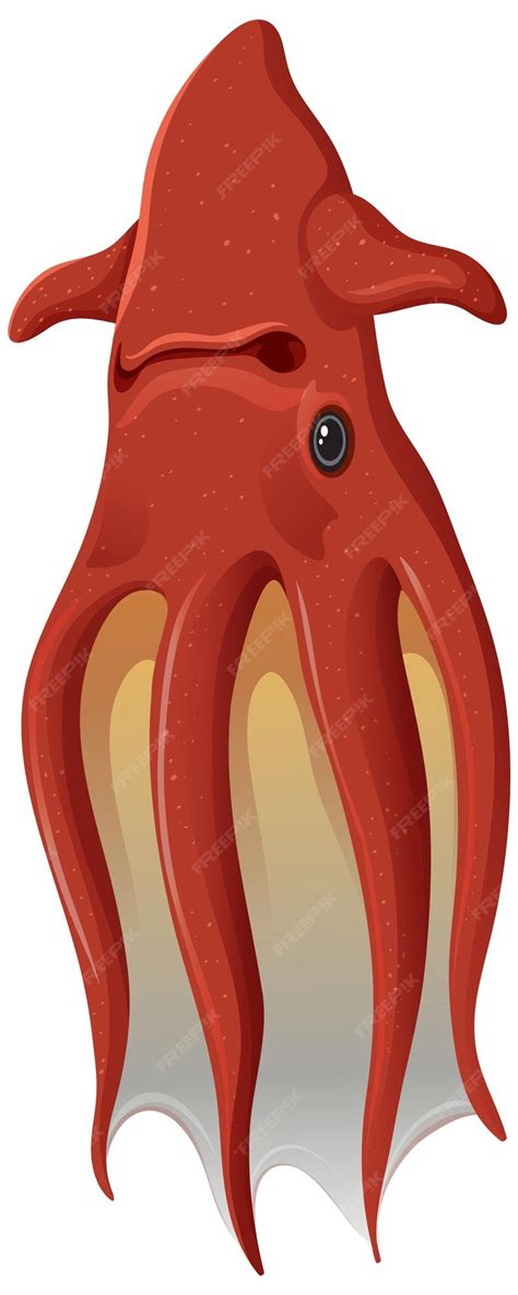 Premium Vector | Deep sea creatures vampire squid