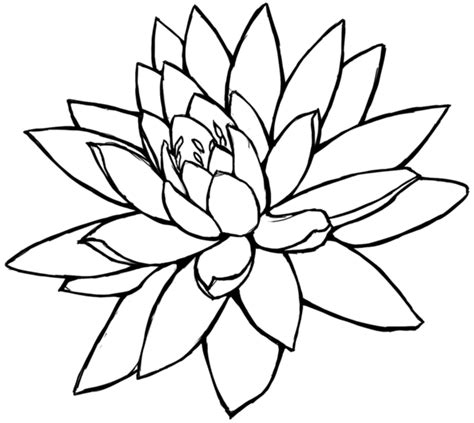 Lotus Flower Line Drawing - Cliparts.co | Flower sketches, Flower line drawings, Simple ...