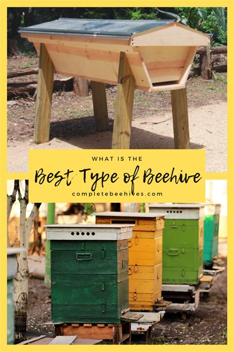 What is the Best Type of Beehive? | Bee hive, Bee keeping hives, Different types of bees