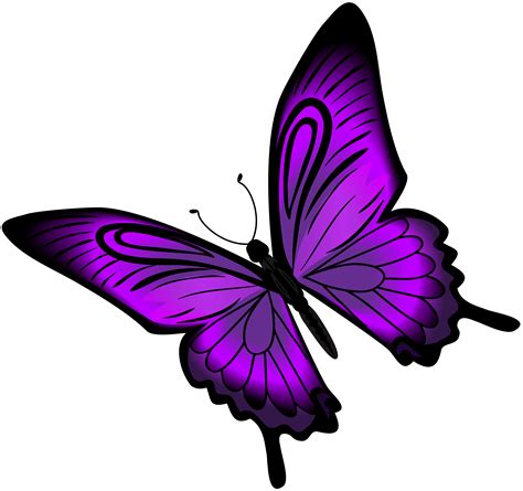 Purple Butterfly Clip art - Purple Butterfly PNG Clip Art png download - 8000*7512 - Free ...