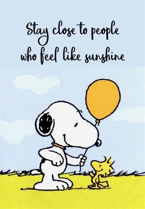 ️Snoopy & Woodstock # - #Zitate ... - #amp #Snoopy #Woodstock #Zitate | Snoopy zitate ...