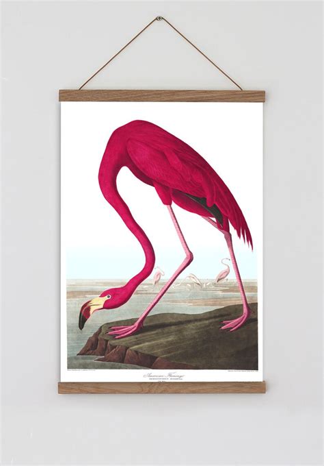 Vintage Flamingo Wall Art Pink Flamingo Print Bird Prints | Etsy