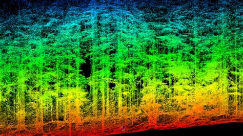 Lidar Maps For Forest Management