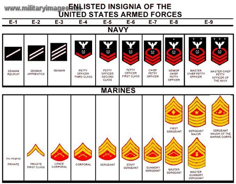 US Navy US Marine Corps Ranks | Navy stuff | Pinterest | Study, Armed ...