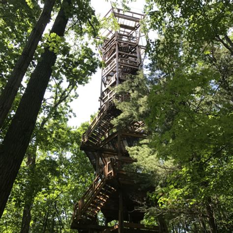 Your Adventure Awaits at the Holden Arboretum Canopy Walk & Tower