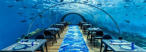 Stunning Underwater Restaurant in The Maldives