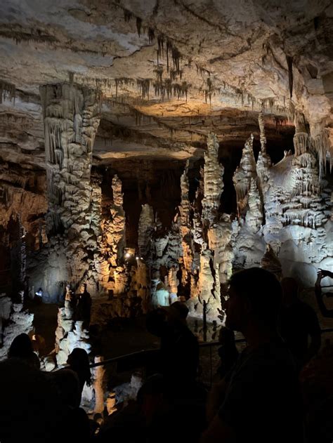 Wonder Below Ground: Cathedral Caverns State Park - Steve Jones Great Blue Heron