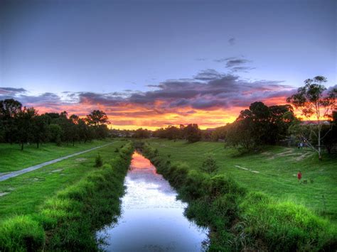 Perfect Places for a Summer Picnic in North Brisbane