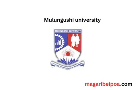 Mulungushi University All courses offered and Fee structure 2024/2025 ...