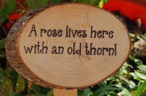 Humorous Garden Signs Ideal Gift For The by AMixedBagCanada. , via Etsy ...