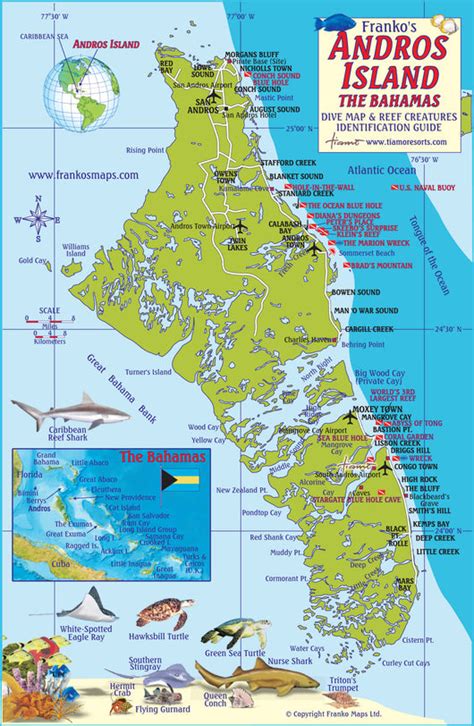 Andros Island, The Bahamas Fish Card – Franko Maps