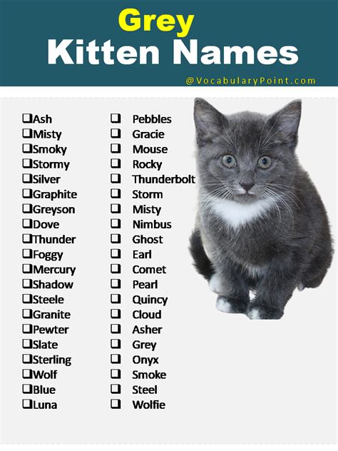 270+ Funny and Cute Names for Kittens 2024 - Vocabulary Point