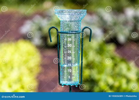 Meteorology with Rain Gauge in Garden after the Rain Stock Image ...