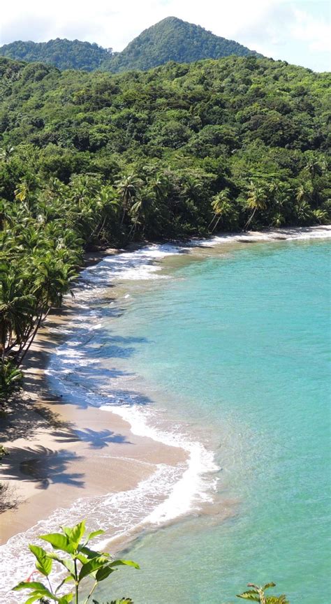 Batibou Beach | Dominica beaches, Beaches in the world, Beautiful beaches