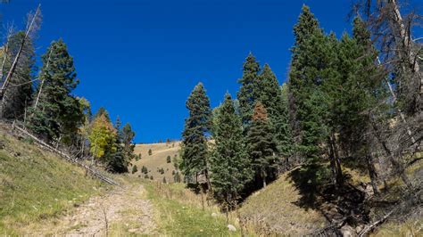 Meanderthals | Trail 12 at Valles Caldera National Preserve, New Mexico