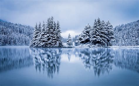 landscape, Nature, Lake, Forest, Hill, Overcast, Reflection, Winter, Cold, Snow, Pine Trees ...