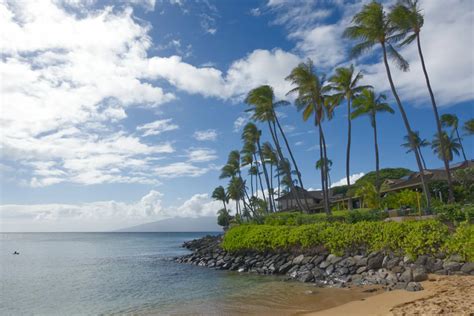 Napili Bay Snorkeling Guide - Maui Hideaway