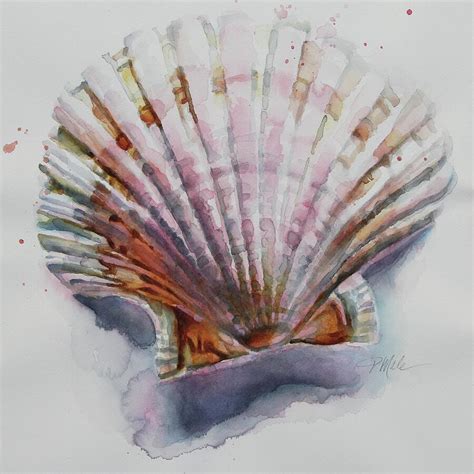 Scallop Seashell Painting by Tracy Male - Fine Art America