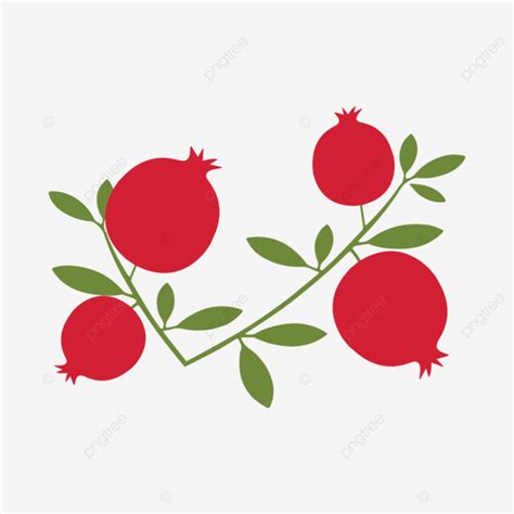 Pomegranate Vector Illustration, Pomegranate, Vector, Fruit PNG and Vector with Transparent ...