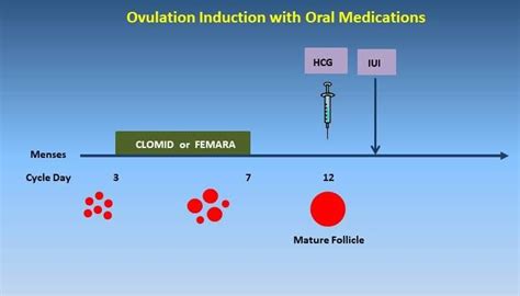 Ovulation Induction Specialist - Irving, TX & Arlington, TX: IVFMD: Fertility Specialist