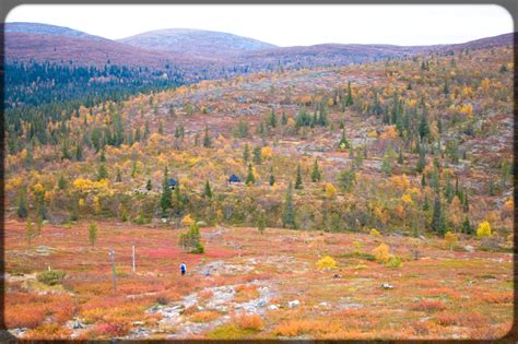 Ruska relief: 35 stunning photos of Finland's autumn colors