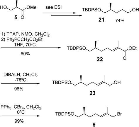 Scheme 3 Synthesis of allylic bromide 6. | Download Scientific Diagram