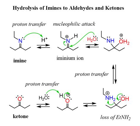 Imine and Enamine Hydrolysis Mechanism | Chemistry, Chemistry basics ...