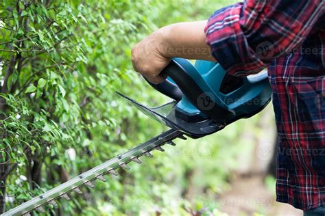 Gardener holding electric hedge trimmer to cut the treetop in garden. 10656431 Stock Photo at ...