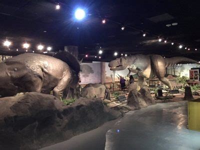 Las Vegas Natural History Museum | Ultra Patios