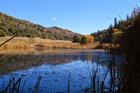 My Own 100 Hikes: Hike 2014.060 -- Palomar Mountain State Park: Doane Valley Nature Trail, Weir ...