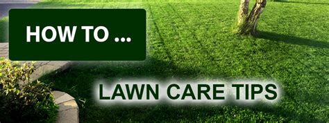 lawn care tips - GR Solutions 360GR Solutions 360