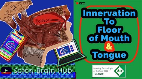 Nerve Pain In Floor Of Mouth | Viewfloor.co