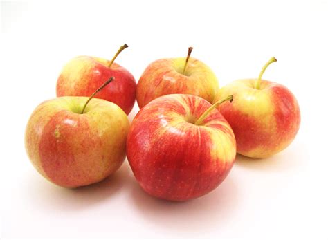 Free photo: Five apples - Apples, Diet, Five - Free Download - Jooinn