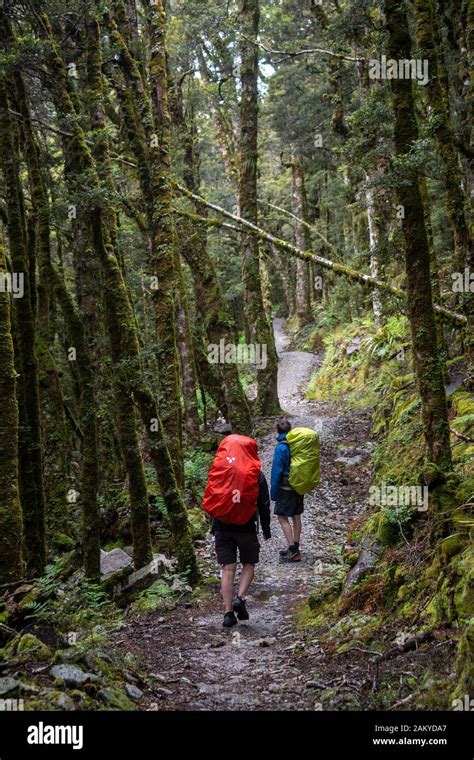 Walking the Old Ghost Road trail, Lyell to Seddonville, New Zealand ...