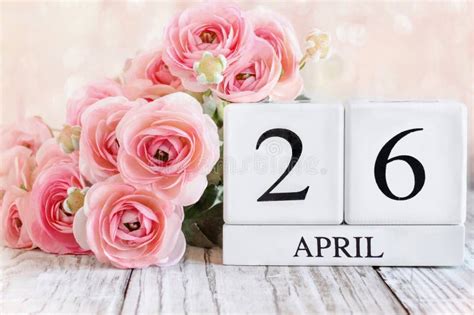 April 23 Calendar Blocks With Pink Ranunculus Stock Image - Image of ...