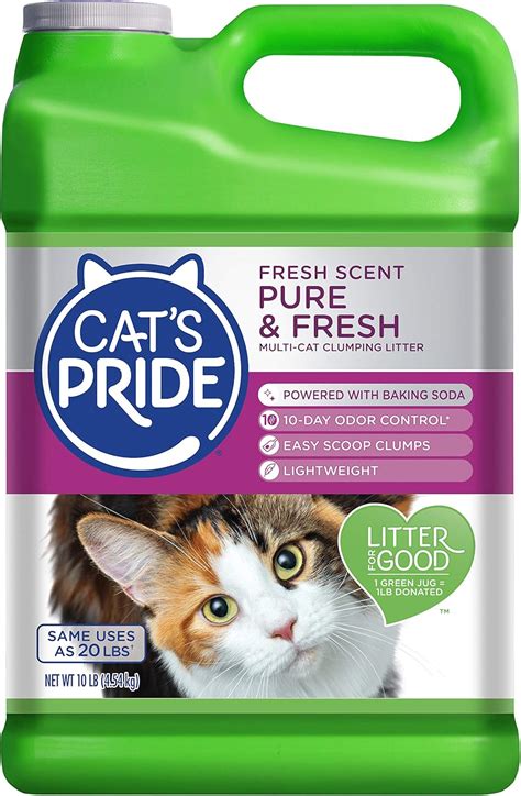 Best Cat Litter For Odor Control Eliminate Bad Odor Without Effort