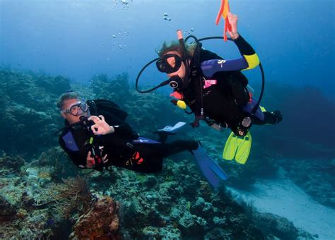 Learn to Dive Gold Coast | PADI Discover Scuba Experience