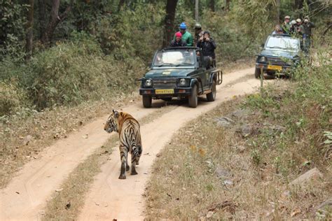 Kanha Tiger Reserve, IN Vacation Rentals: & more | Vrbo