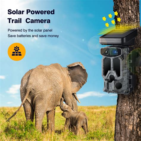 Solar 4K Trail Camera Dual lens WiFi Bluetooth Deer 60MP Hunting Night vision | eBay