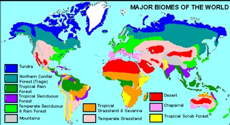 taiga map - Google Search | Biomes, Map, World geography