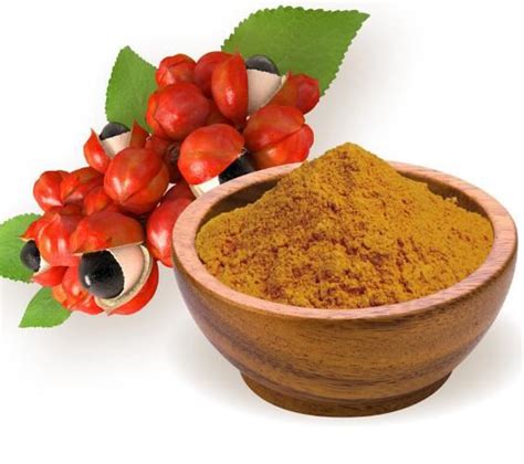 Organic Guarana Powder - manufacturer - undersun