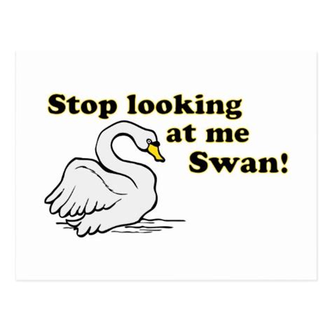 Stop looking at me swan postcard | Zazzle