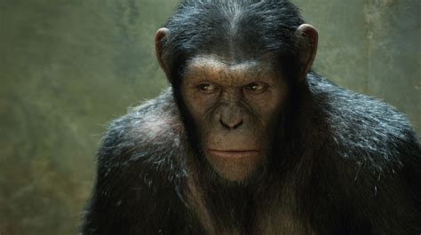 Matt Reeves Confirmed To Helm 'Dawn Of The Planet Of The Apes'