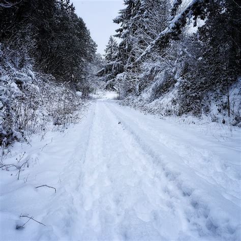 Weather Today Vancouver Island - weather and climate