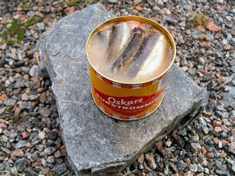 Surströmming or Sour Herring in Sweden 2024 - Rove.me