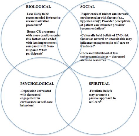 Figure 2 from Biopsychosocial-Spiritual Factors Impacting African American Patients' Cardiac ...