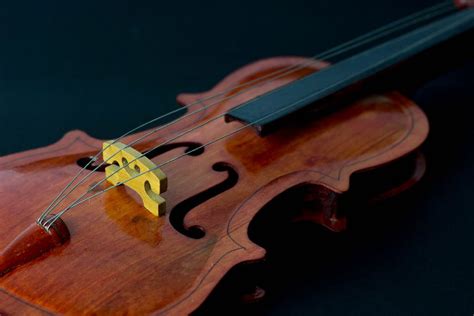 VIolin - Bilder und Fotos (Creative Commons 2.0)