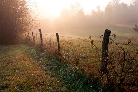 Foggy Sunrise Photo in the Country, Early Morning Foggy Landscape of Country Landscape, Foggy ...