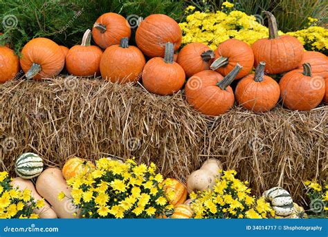 Autumn Decor on Hay Bales stock image. Image of forest - 34014717