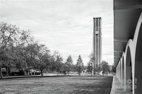 University of California Riverside Bell Tower Photograph by University ...